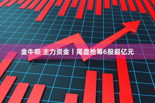金牛呗 主力资金丨尾盘抢筹6股超亿元