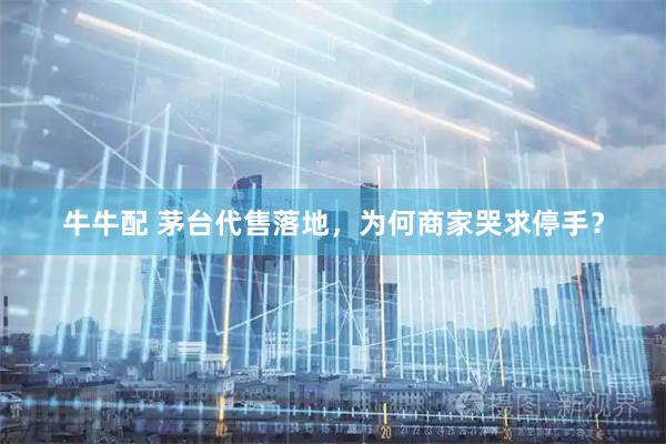 牛牛配 茅台代售落地，为何商家哭求停手？