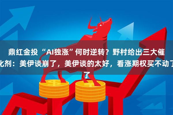 鼎红金投 “AI独涨”何时逆转？野村给出三大催化剂：美伊谈崩了，美伊谈的太好，看涨期权买不动了