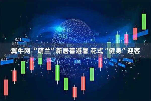 翼牛网 “萌兰”新居喜避暑 花式“健身”迎客