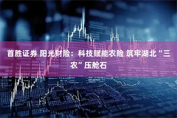 首胜证券 阳光财险：科技赋能农险 筑牢湖北“三农”压舱石
